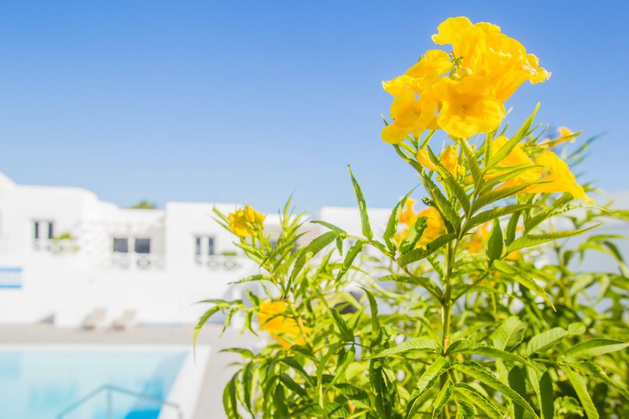 Flower Beach Suite 6 ปลายาออนดา ภายนอก รูปภาพ